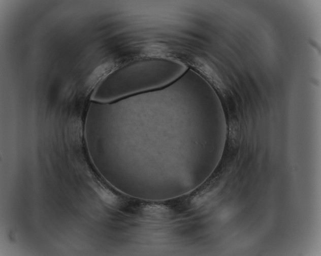 X0000093480397200710121450