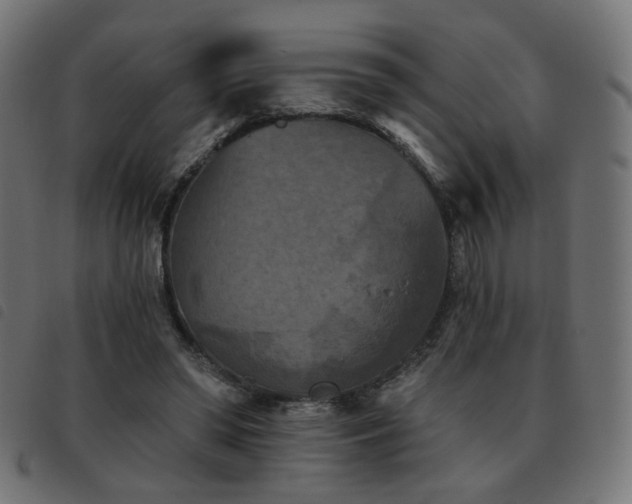 X0000093480398200710121450
