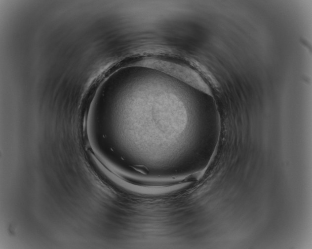 X0000093480399200710121450
