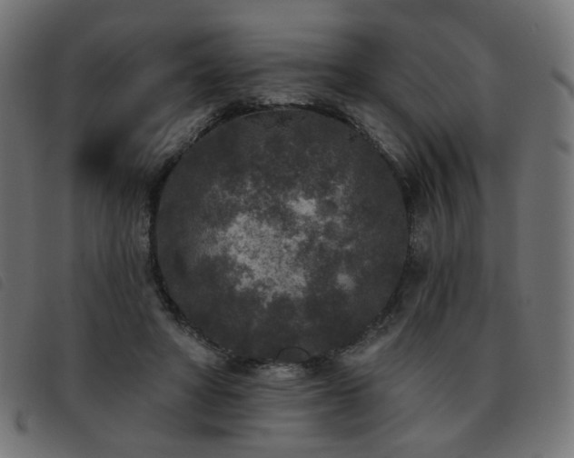 X0000093480402200710121450