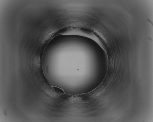 X0000093480403200710121450