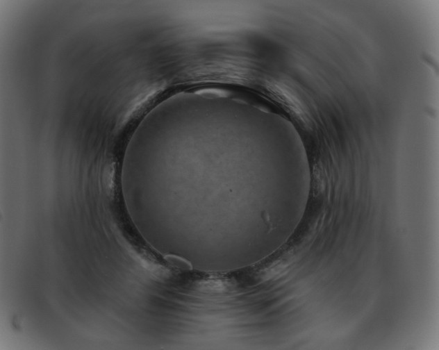 X0000093480404200710121450