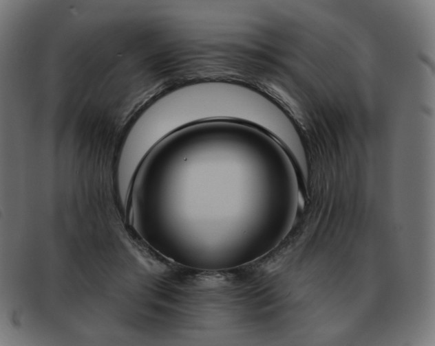 X0000093480405200710121450