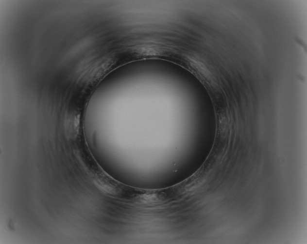 X0000093480406200710121450