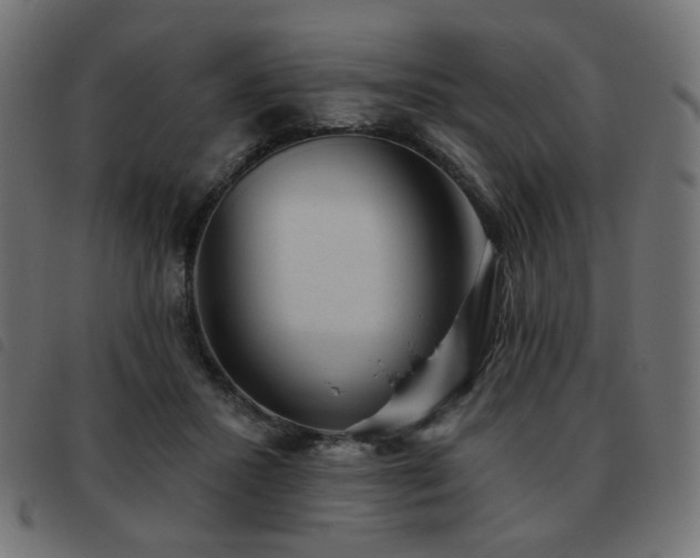 X0000093480407200710121450