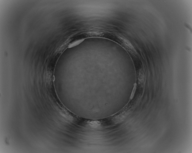X0000093480409200710121450