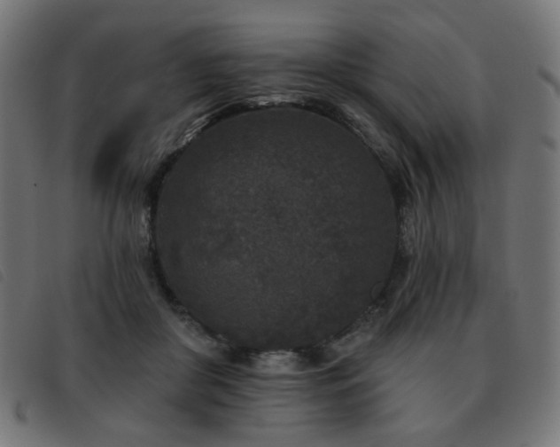 X0000093480410200710121450