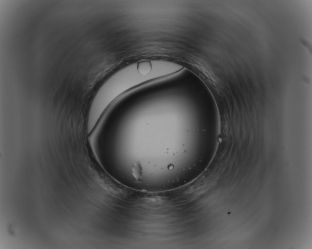 X0000093480411200710121450