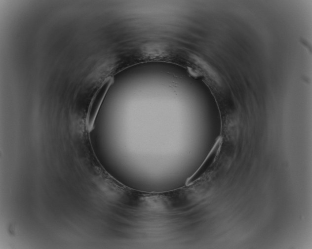X0000093480417200710121450