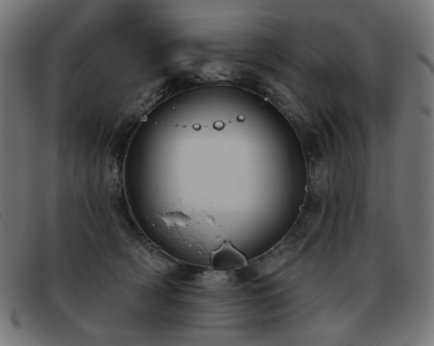 X0000093480418200710121450
