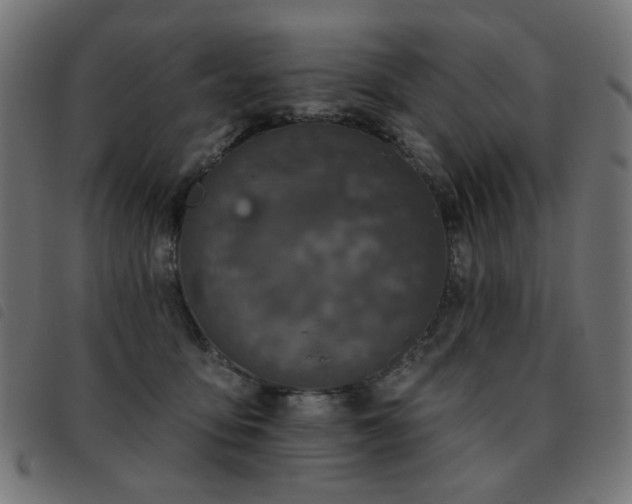 X0000093480419200710121450