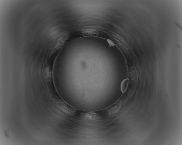 X0000093480420200710121450