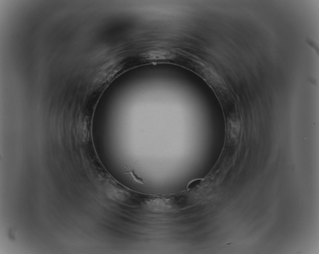 X0000093480422200710121450