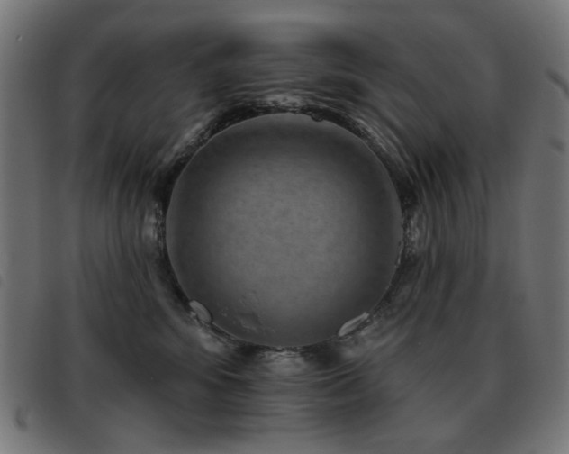 X0000093480424200710121450