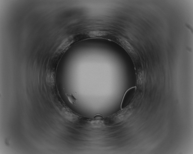 X0000093480426200710121449