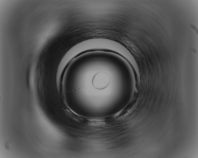 X0000093480429200710121449