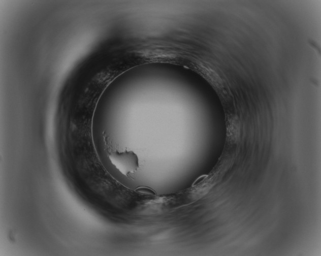 X0000093480430200710121449