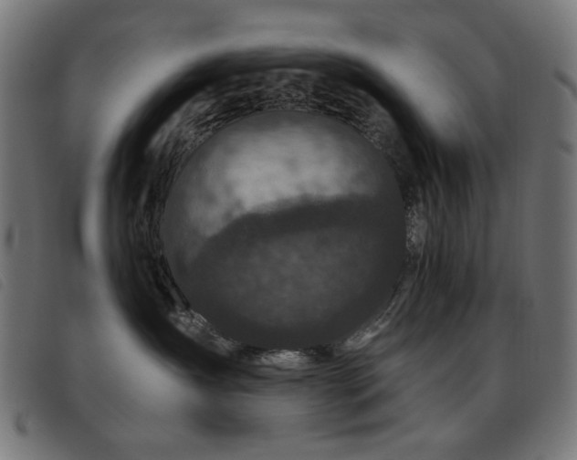 X0000093480431200710121449