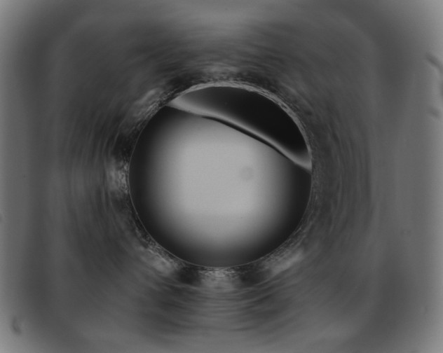 X0000093480432200710121449