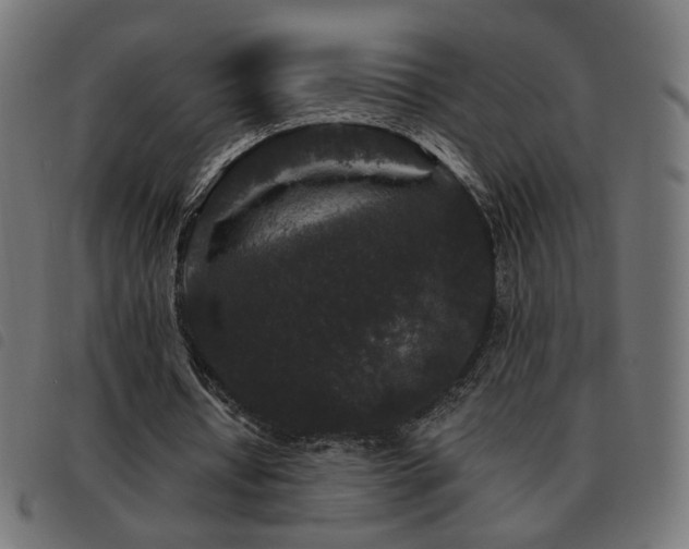 X0000093480434200710121449