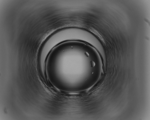 X0000093480436200710121449