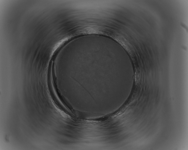 X0000093480438200710121449