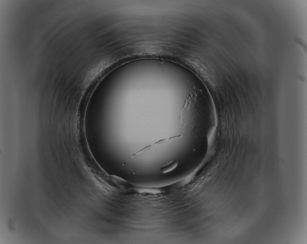X0000093480439200710121449