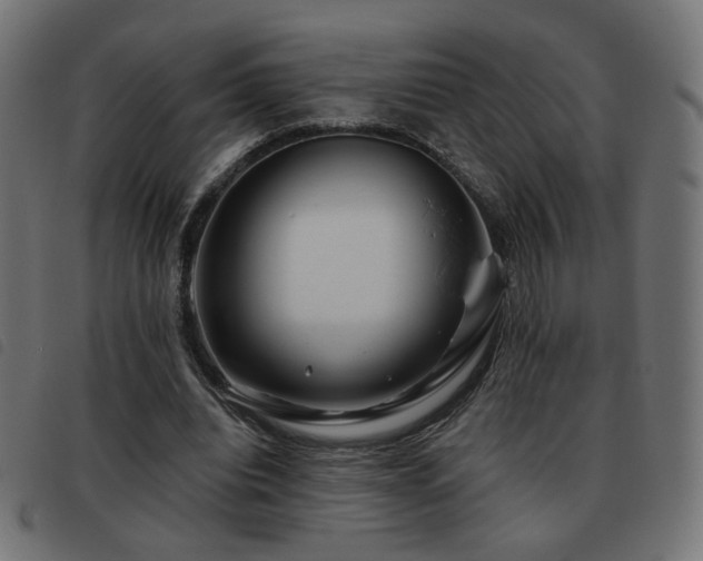 X0000093480440200710121449