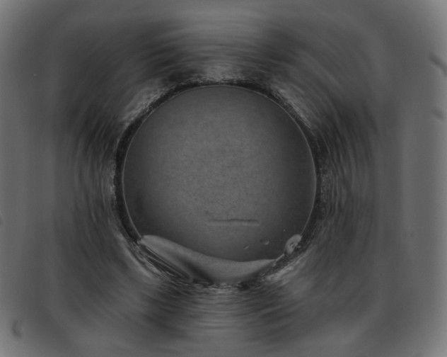 X0000093480443200710121449