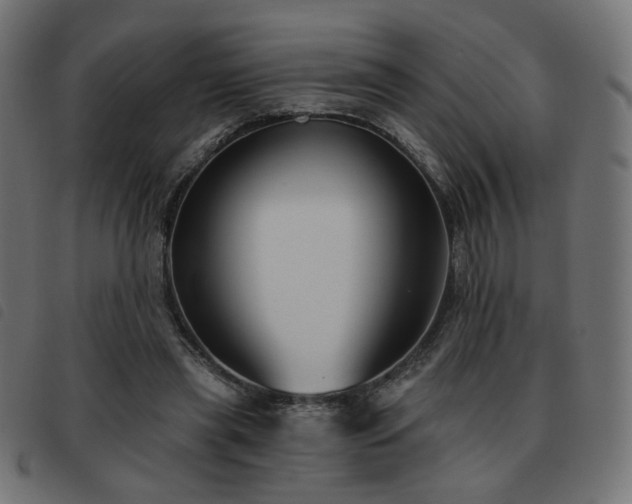 X0000093480445200710121449