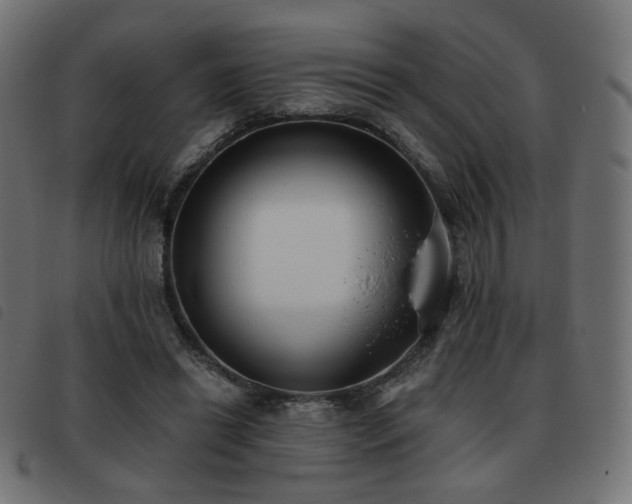X0000093480446200710121449