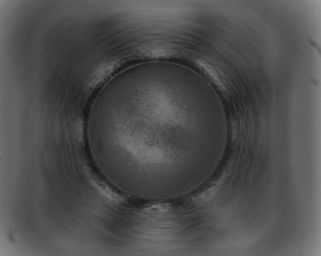 X0000093480447200710121449