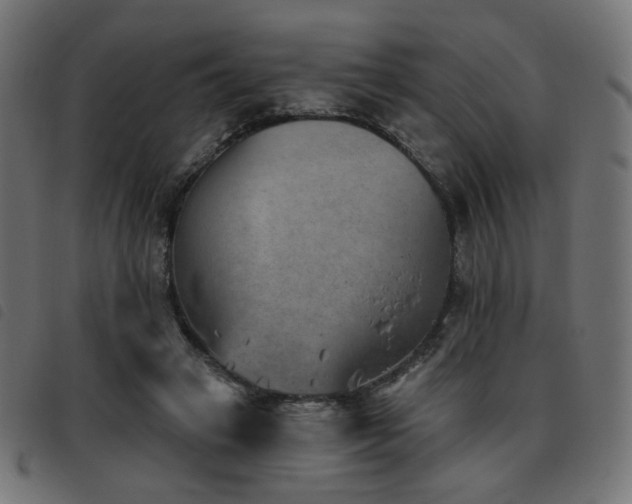 X0000093480449200710121449
