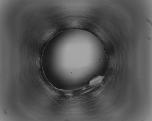 X0000093480450200710121449