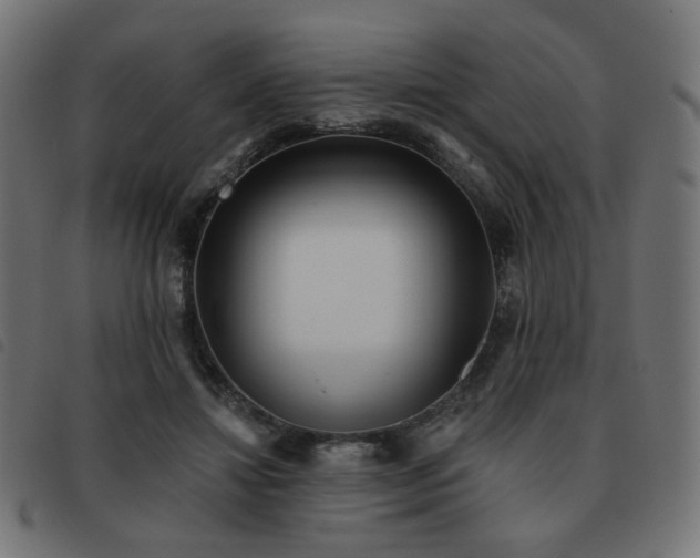 X0000093480452200710121449
