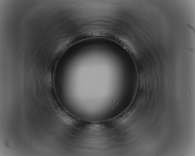 X0000093480453200710121449