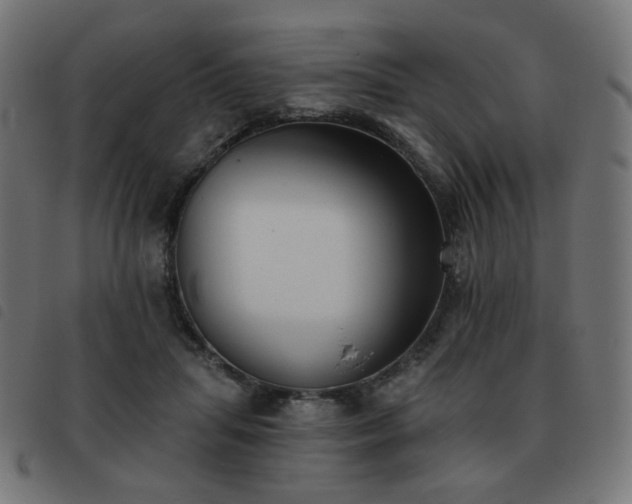 X0000093480455200710121449