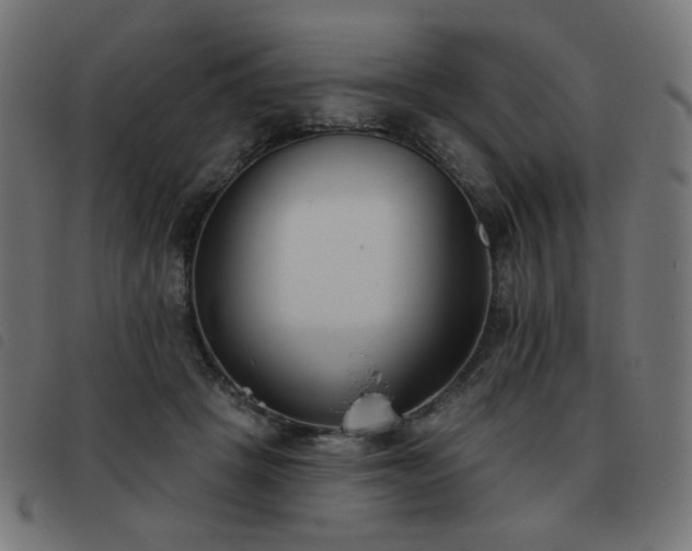X0000093480457200710121449