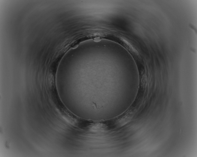 X0000093480459200710121449
