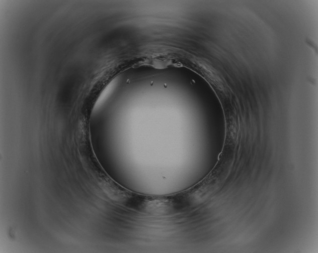 X0000093480461200710121449