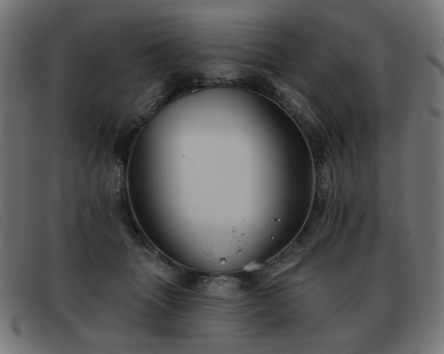 X0000093480463200710121449