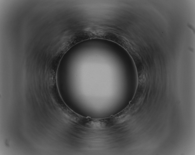 X0000093480464200710121449