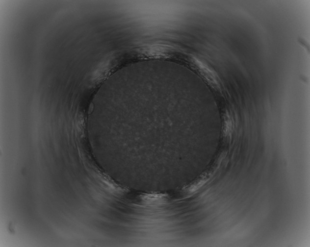 X0000093480465200710121449