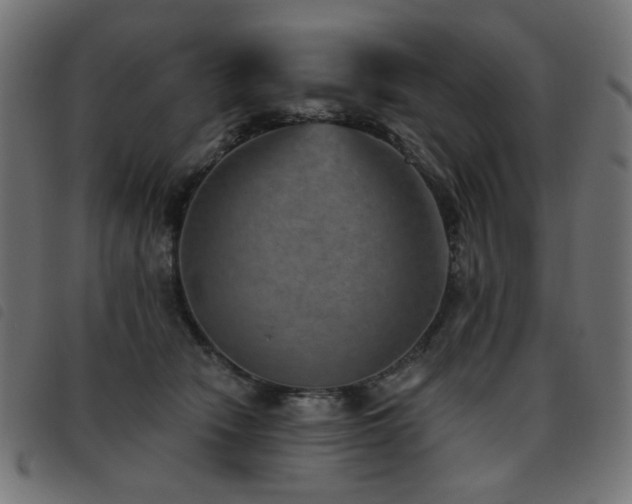 X0000093480466200710121449