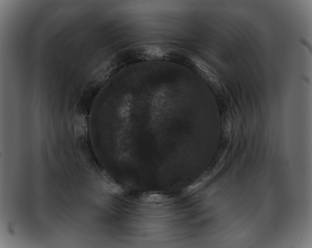 X0000093480467200710121449