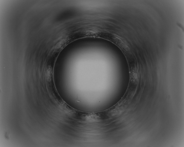 X0000093480468200710121449