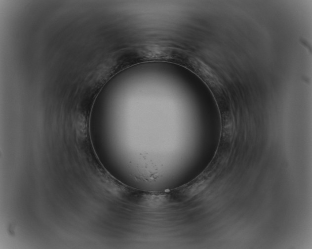 X0000093480469200710121449