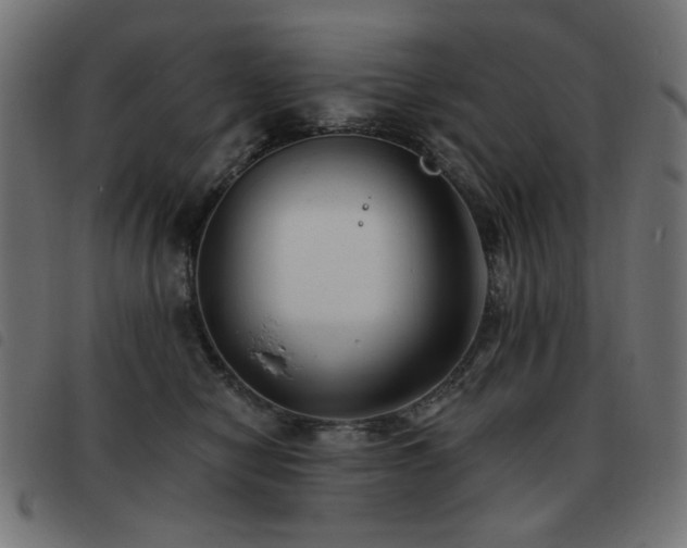 X0000093480470200710121449
