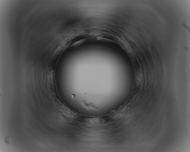 X0000093480473200710121449