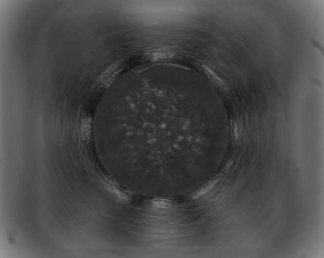 X0000093480475200710121449